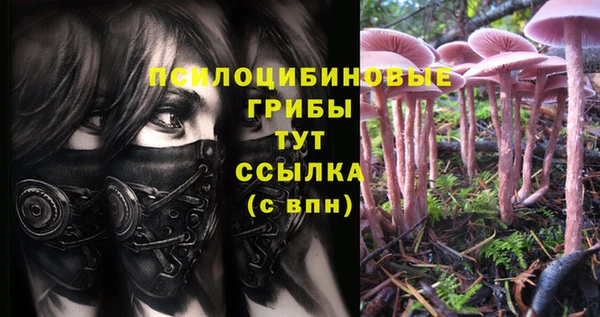 mdpv Вязьма
