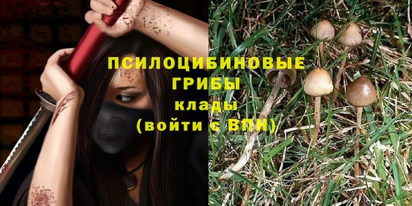винт Вяземский