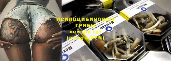 винт Вяземский