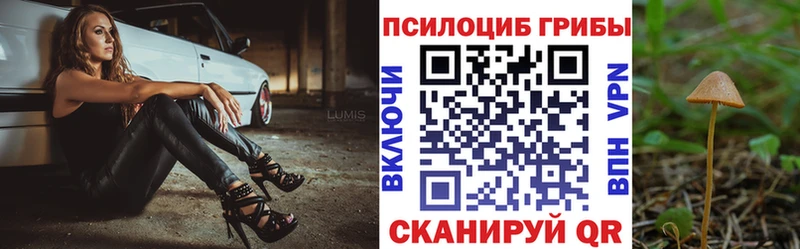 мориарти как зайти Яхрома Псилоцибиновые грибы Cubensis хочу мега ССЫЛКА